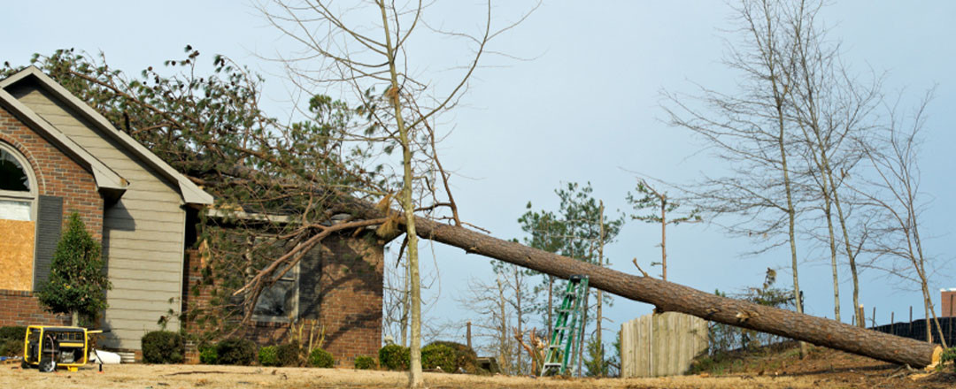 Emergency Roofing Services