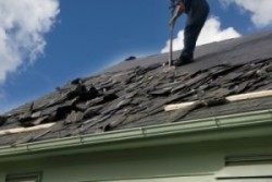Orlando  Residential Roofing